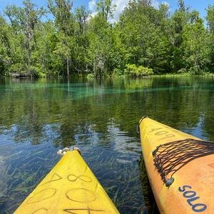 Meet your Posher, Jack